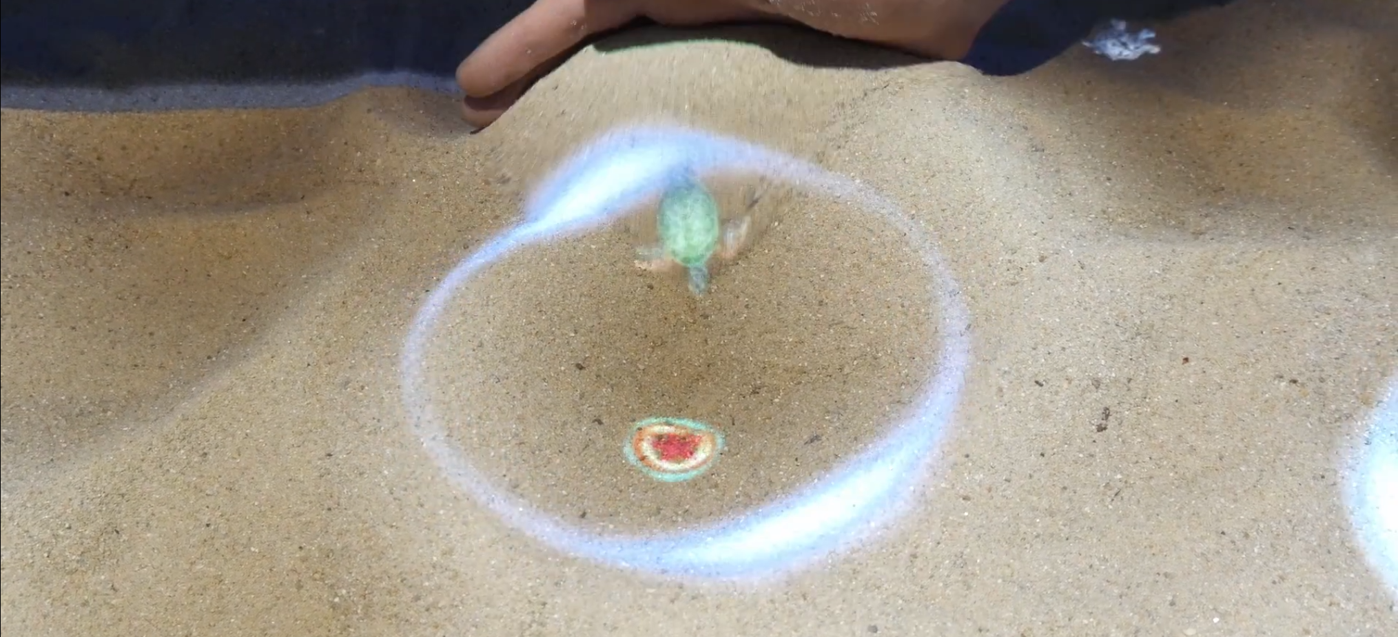 Sandbox Turtle Game thumbnail